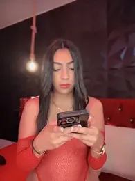 Ema_azel webcam model stream image