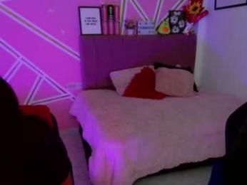 dalshel webcam model stream image