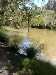 SHARLOT2427 webcam model stream image