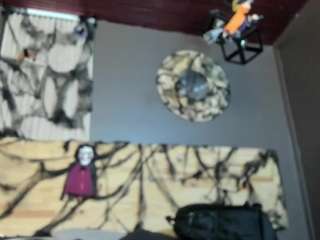 valneeko webcam model stream image