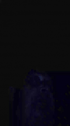 giovanniAP webcam model stream image