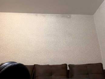 AideLandaker webcam model stream image