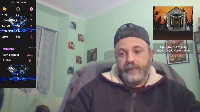 sonoboris webcam model stream image