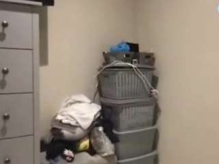 boss-man-26 webcam model stream image