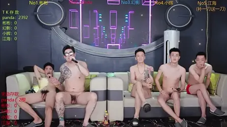 SX-001 webcam model stream image