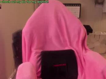 nacmar webcam model stream image