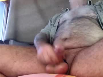 hornyswissman webcam model stream image