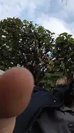 Krasav4ik4ik webcam stripchat model stream image