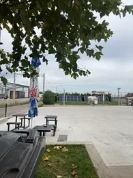 baramadalin webcam model stream image