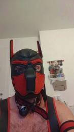 MastermitFaggot webcam model stream image