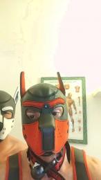 MastermitFaggot webcam model stream image