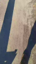 bibi250 webcam model stream image