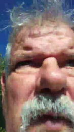 bibi250 webcam model stream image