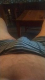 bibi250 webcam model stream image