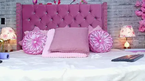 AuroraSim webcam model stream image