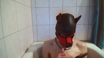 Pup_Hunter_1987 webcam model stream image