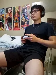 Ais_B10 webcam model stream image