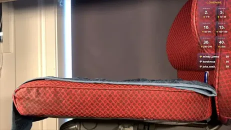 brsrkr webcam model stream image