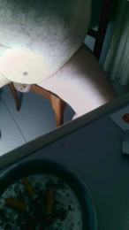 Safadogordinh webcam model stream image