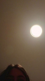 Dinosauria43 webcam model stream image