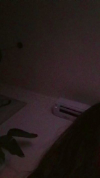 Dinosauria43 webcam model stream image