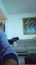 piovrahot webcam model stream image