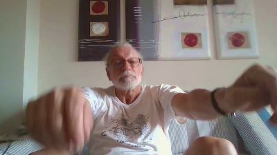 Leafars webcam model stream image