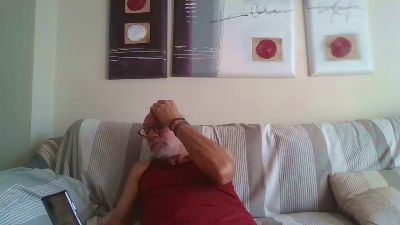 Leafars webcam model stream image