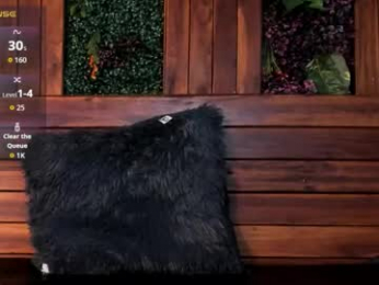 noah_dupont_ webcam model stream image