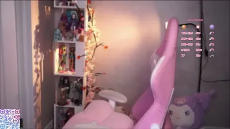 hikmurr webcam model stream image