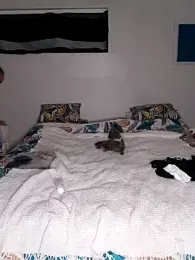 SMLove51 webcam stripchat model stream image