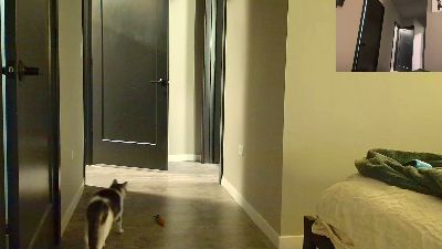 assville webcam model stream image