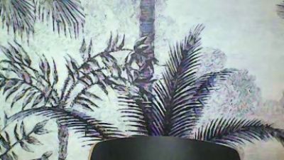 zpierre74 webcam model stream image