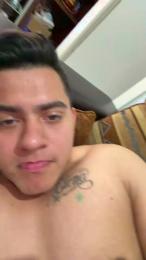 Vergateria webcam model stream image