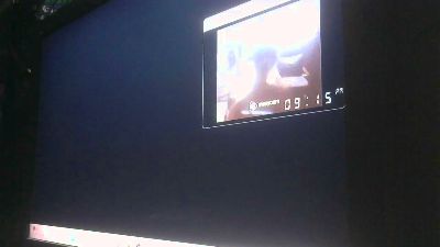 PICA_DAN webcam model stream image