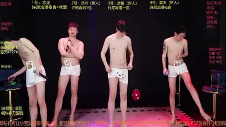 SD-857 webcam model stream image