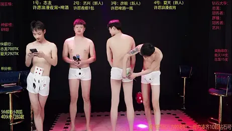 SD-857 webcam model stream image