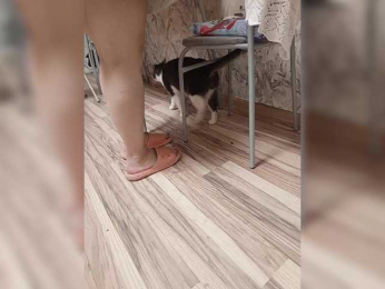 Byrzik1213 webcam model stream image