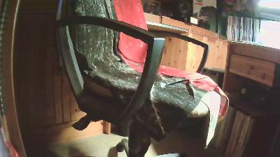 dstrumpf webcam model stream image