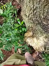 telugumodda4396 webcam model stream image