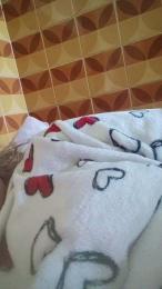 misteriosa84 webcam cam4 model stream image