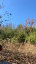 BigDjunior8 webcam model stream image