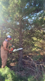 BigDjunior8 webcam model stream image