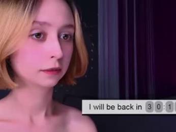vacsler webcam model stream image
