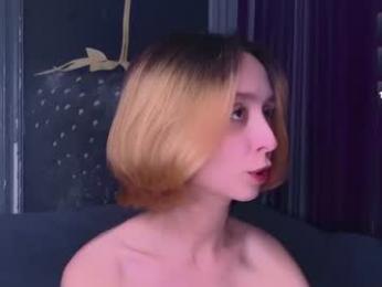 vacsler webcam model stream image
