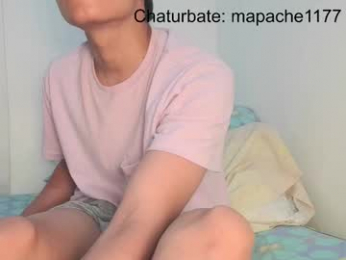 mapache1177 webcam model stream image
