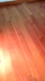 Carolina_Leo webcam model stream image