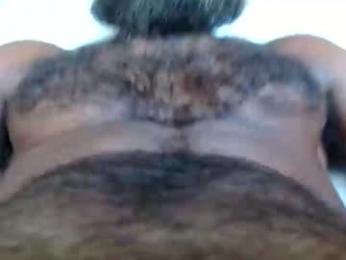 woof_wolf37 webcam model stream image