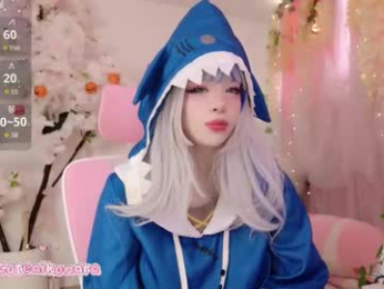 aikonara webcam model stream image