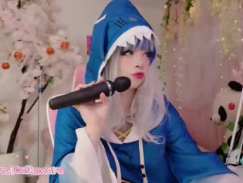 aikonara webcam model stream image